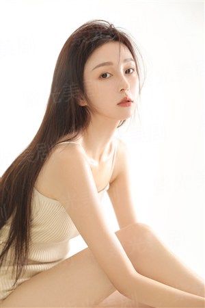 隐形战队（国语版）